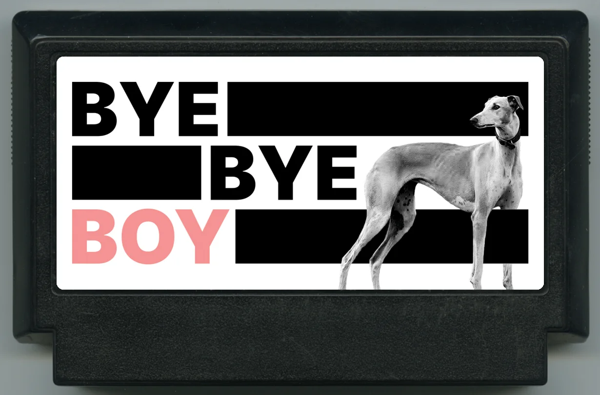 拜拜男孩 (BYE BYE BOY) cover