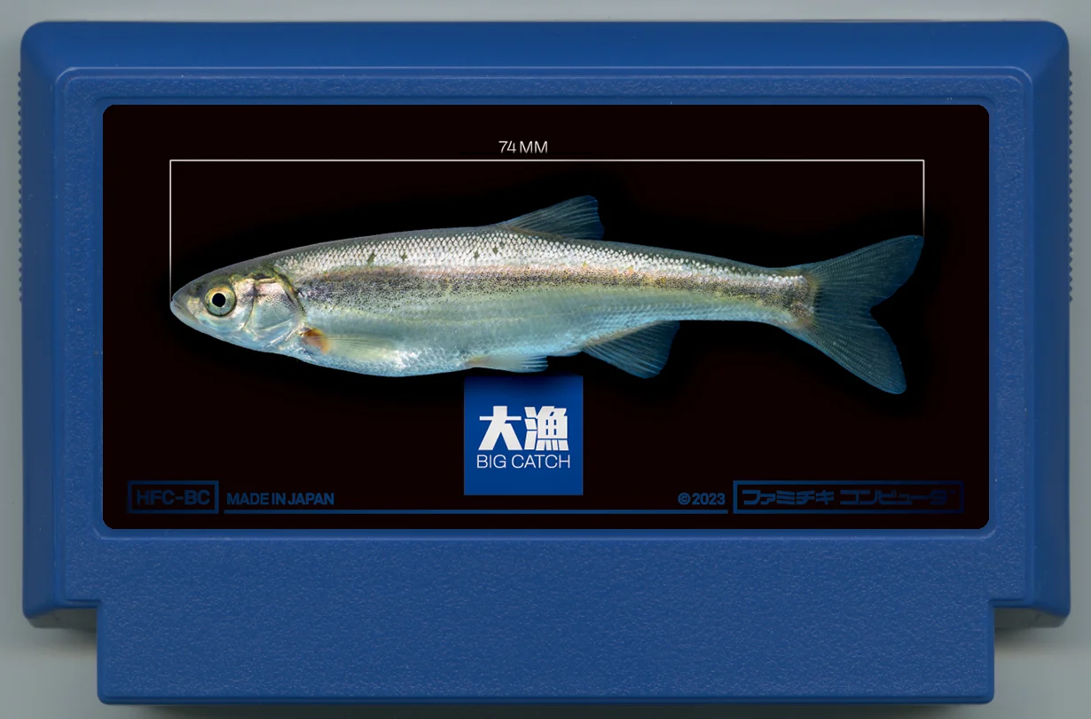 大漁 cover