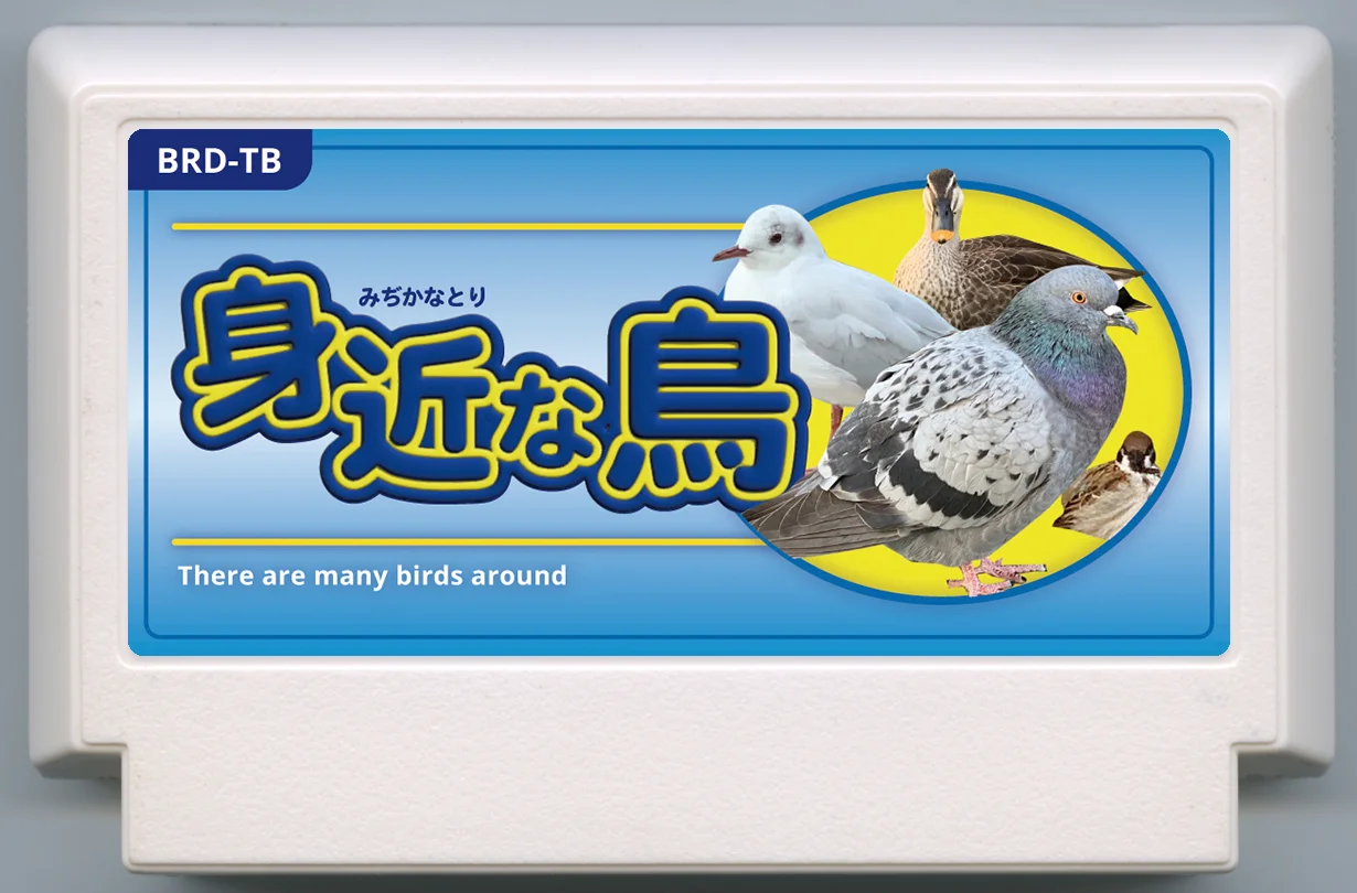 蝴蝶花园2 (BUTTERFLY GARDEN 2) cover